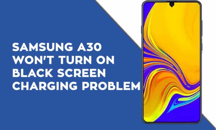 Samsung A30 Won't turn on Black Screen