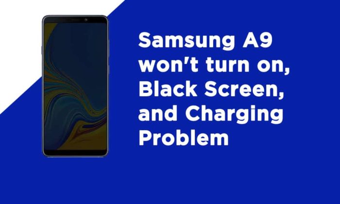 Samsung A9 wont turn on