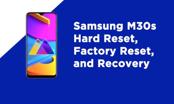 Samsung M30s Factory Reset